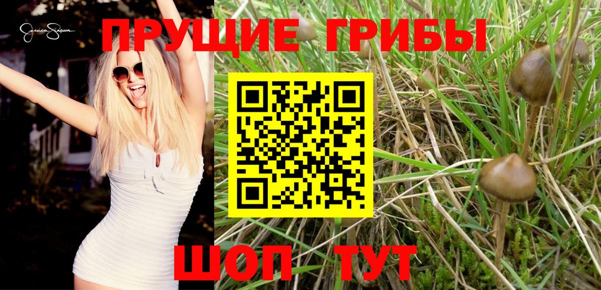 Белая Калитва  Псилоцибиновые грибы Magic Shrooms  Вход с VPN 